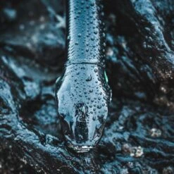 COMBO Leurres Souples Shad Texan ANCHO 120 50g Dos Noir/dos Blanc Pêche En Mer 13 COMBO Leurres Souples Shad Texan ANCHO 120 50g Dos Noir/dos Blanc Pêche En Mer -Caperlan combo leurres souples shad texan ancho 120 50g dos noirdos blanc peche en mer 4