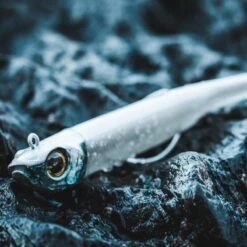 COMBO Leurres Souples Shad Texan ANCHO 120 50g Dos Noir/dos Blanc Pêche En Mer 14 COMBO Leurres Souples Shad Texan ANCHO 120 50g Dos Noir/dos Blanc Pêche En Mer -Caperlan combo leurres souples shad texan ancho 120 50g dos noirdos blanc peche en mer 5