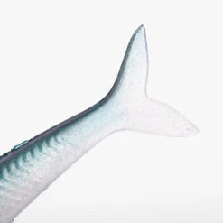 COMBO Leurres Souples Slug SLUGEELO 160 Ayu/Bleu -Caperlan combo leurres souples slug slugeelo 160 ayubleu 4