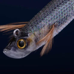 Turlutte Ultra Coulante TYP RUN EBIFISH 3.0/120 Naturel Mullet Pêche Calamar -Caperlan turlutte ultra coulante typ run ebifish 30120 naturel mullet peche calamar 2